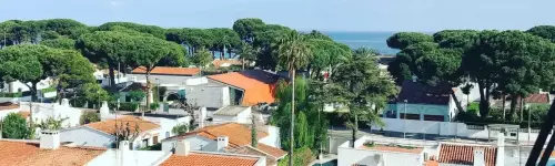 Panoramique
